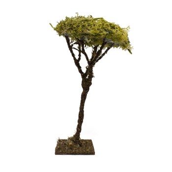 Albero Lichene h 13 cm Miniature Alberi per Presepe