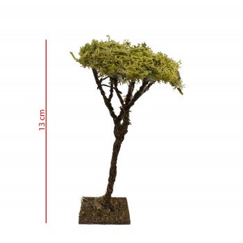 Albero Lichene h 13 cm Miniature Alberi per Presepe