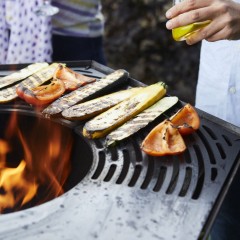 Barbecue a Legna con Piastra in Acciaio Nestor Barbecook