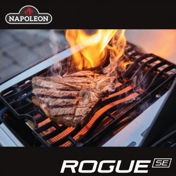 Piastra Napoleon Reversibile per Barbecue Rogue e Freestyle