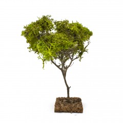 Alberello per Presepe 20 cm Miniature Alberi per Presepe