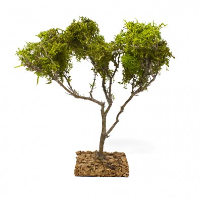 Alberello per Presepe 20 cm Miniature Alberi per Presepe