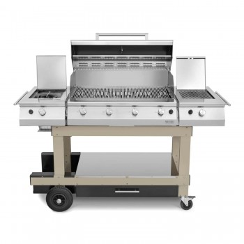 Barbecue a Gas 4 Fuochi Fry Top 750 con Carrello Master Grill