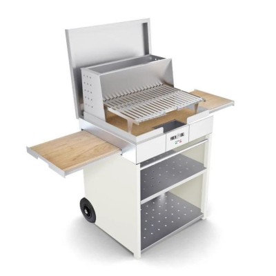 Barbecue a Legna e Carbone in Acciaio Inox Cubo