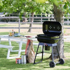 Barbecue a Carbone Magnus Barbecook