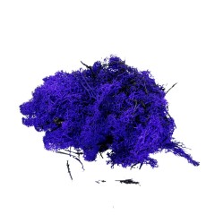 Lichene Viola Lavanda per Presepe Busta da 90 gr 70052