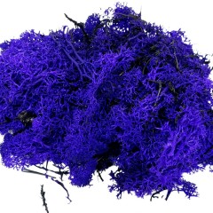 Lichene Viola Lavanda per Presepe Busta da 90 gr 70052