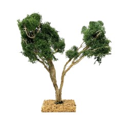 Albero per Presepe 25 cm Miniature Alberi per Presepe