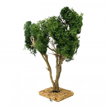 Albero per Presepe 25 cm Miniature Alberi per Presepe