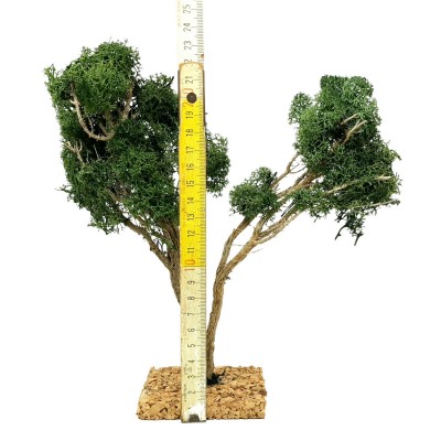 Albero per Presepe 25 cm Miniature Alberi per Presepe