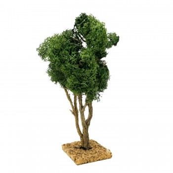 Albero per Presepe 25 cm Miniature Alberi per Presepe