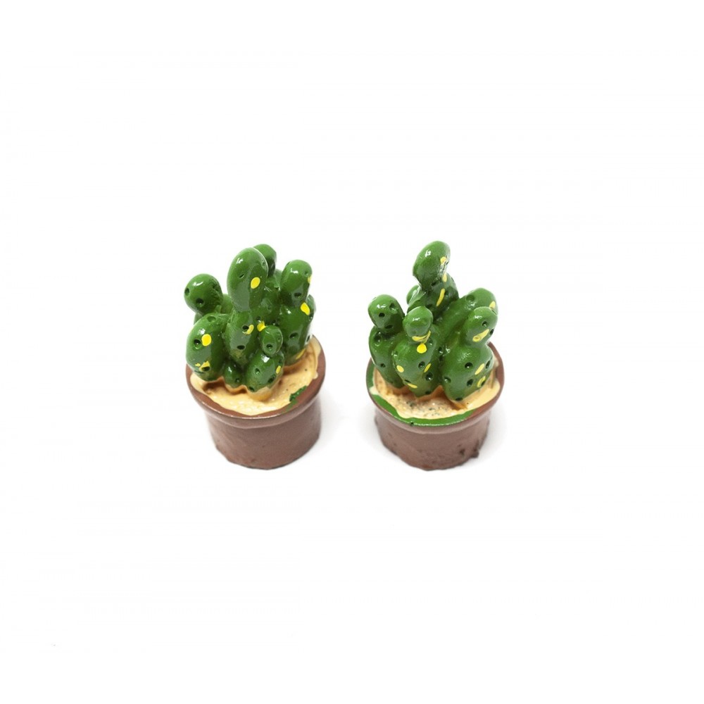 Mini piante grasse - 5 pezzi + vasi 
